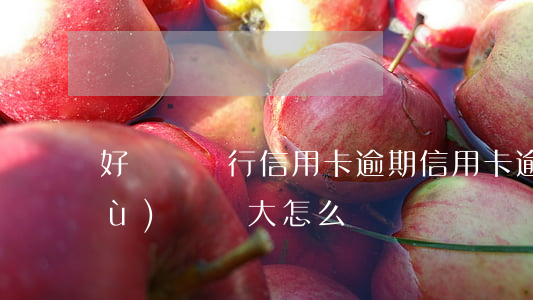 好幾個銀行信用卡逾期（信用卡逾期數(shù)額較大怎么處罰）