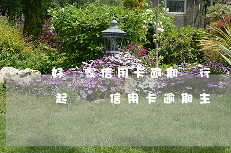 好幾家信用卡逾期銀行會聯(lián)合起訴嗎（信用卡逾期主動要求銀行起訴）