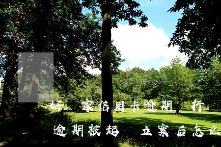 好幾家信用卡逾期銀行會聯合起訴嗎（信用卡逾期被起訴立案后怎么協商分期）