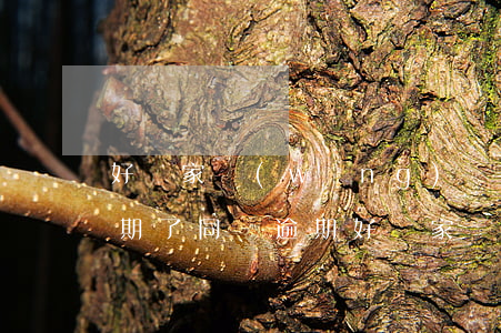 好幾家網(wǎng)絡(luò)貸款逾期了(同時逾期好幾家網(wǎng)貸)