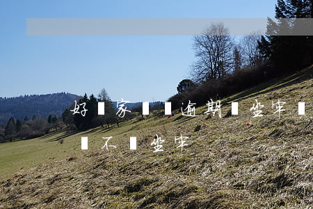 好幾家網貸逾期會坐牢嗎(網貸逾期半年之上,會不會坐牢)