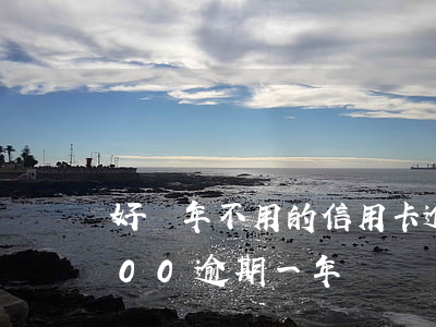 好幾年不用的信用卡逾期100元(信用卡200逾期一年)