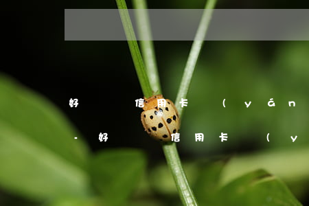 好幾張信用卡嚴(yán)重逾期了怎么辦-好幾張信用卡嚴(yán)重逾期了怎么辦呢