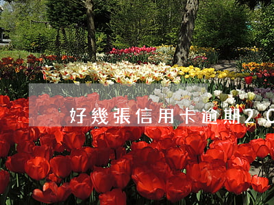 好幾張信用卡逾期20多天了