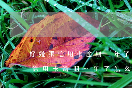 好幾張信用卡逾期一年了怎么處理-好幾張信用卡逾期一年了怎么處理呢