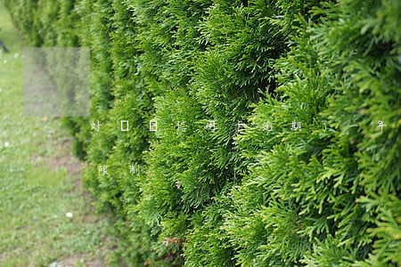 好幾張信用卡逾期了一年（信用卡逾期一年被限制）