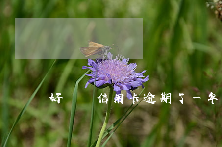 好幾張信用卡逾期了一年（信用卡逾期兩年了還會滾動嗎）