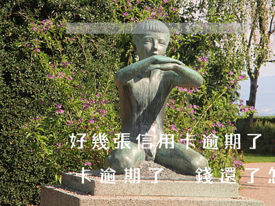 好幾張信用卡逾期了沒能力還款怎么辦（信用卡逾期了沒錢還了怎么辦）