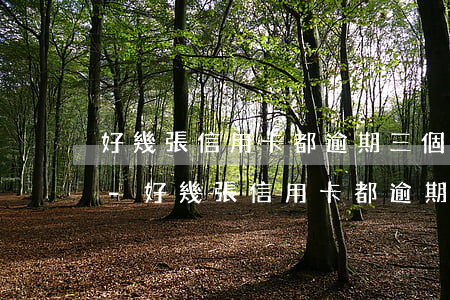 好幾張信用卡都逾期三個(gè)月怎么辦-好幾張信用卡都逾期三個(gè)月怎么辦呢