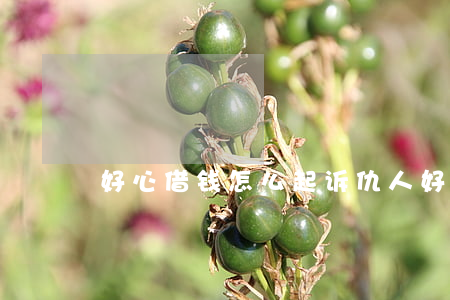 好心借钱怎么起诉仇人 好心借钱换来仇恨