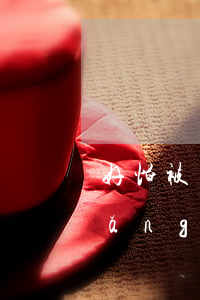 好怕被網(wǎng)貸起訴(好怕被網(wǎng)貸起訴)