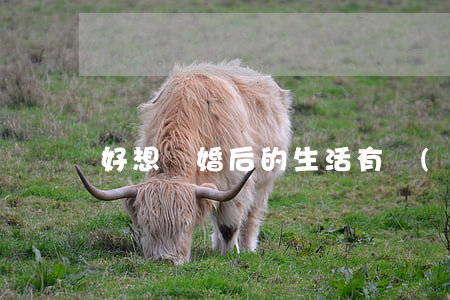 好想離婚后的生活(有點(diǎn)想離婚)