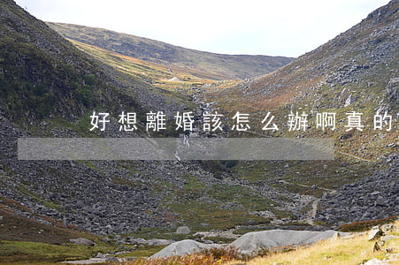 好想離婚該怎么辦啊(真的好想離婚怎么辦)