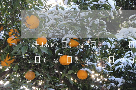 好批的網(wǎng)貸口子小額貸款(大額網(wǎng)貸口子)