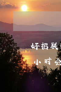 好招联逾期影响信用卡(招联好期贷逾期几个小时会影响信誉吗)