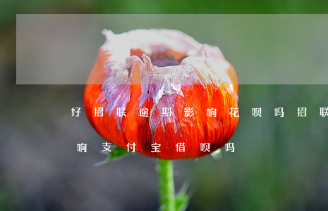 好招联逾期影响花呗吗(招联好期贷逾期会影响支付宝借呗吗?)