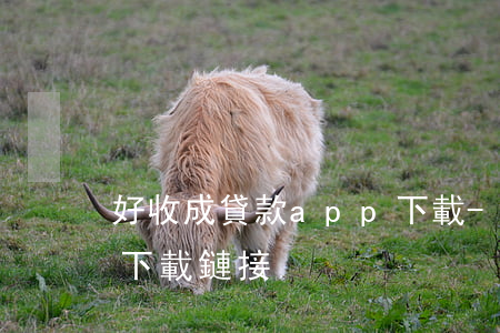 好收成貸款app下載-好收成貸款app下載鏈接