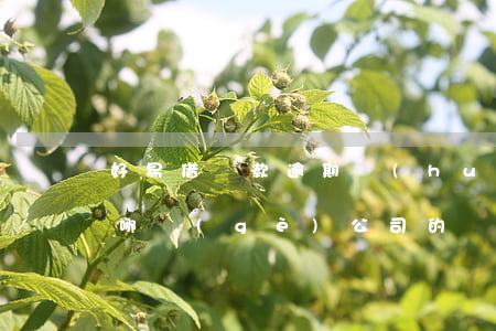 好易借貸款逾期會(huì)怎樣(好易貸是哪個(gè)公司的)