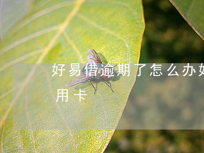 好易借逾期了怎么办 好易借逾期了怎么办信用卡