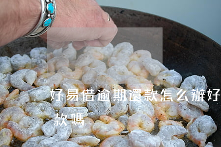 好易借逾期還款怎么辦(好易借2020還放款嗎)