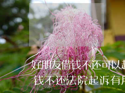 好朋友借钱不还可以起诉法院吗(朋友之间借钱不还法院起诉有用吗?)