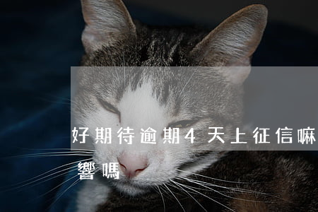 好期待逾期4天上征信嘛(征信逾期4天有影響嗎)