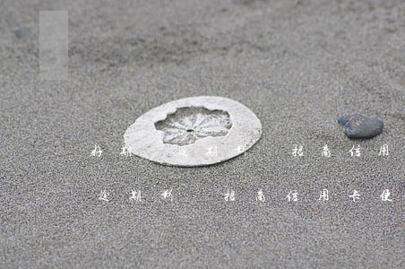 好期貸逾期影響招商信用卡使用嗎-好期貸逾期影響招商信用卡使用嗎知乎