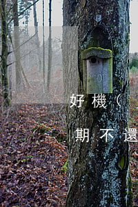 好機(jī)匯逾期不還(好機(jī)匯逾期不還)