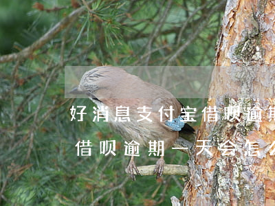 好消息支付宝借呗逾期一天-好消息支付宝借呗逾期一天会怎么样