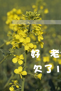 好煩老公欠信用卡網(wǎng)貸十多萬(欠了170萬信用卡和網(wǎng)貸)