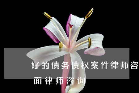 好的债务债权案件律师咨询费多少-债务方面律师咨询