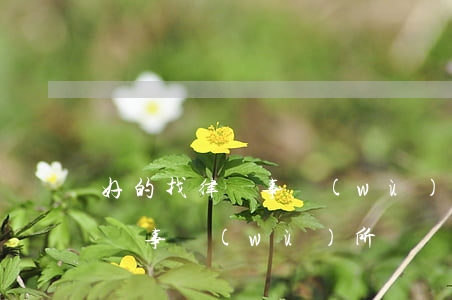 好的找律師事務(wù)所(怎么找靠譜的律師事務(wù)所)