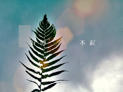 好的網貸還不起(網貸還不起了該怎么辦)