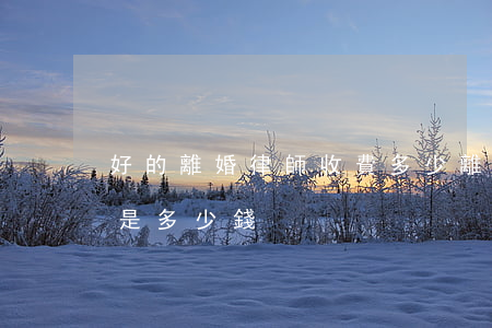 好的離婚律師收費多少(離婚請律師費用一般是多少錢)