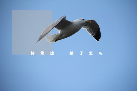 好累想離婚了怎么辦