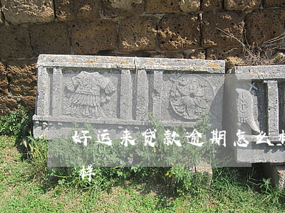 好运来贷款逾期怎么样(好运来贷款逾期怎么样)