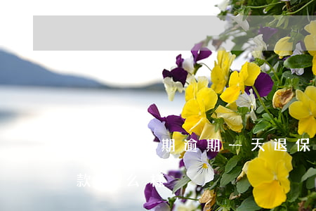 好錢包分期逾期一天退保證金嗎-好錢包貸款怎么樣