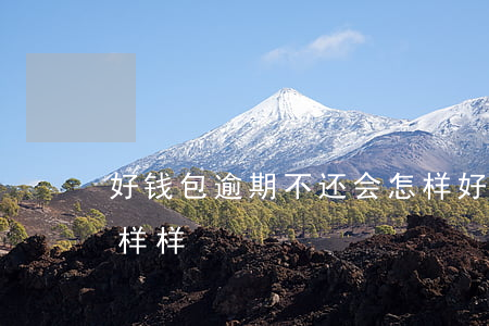 好钱包逾期不还会怎样(好钱包逾期不还会怎样样)