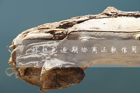 好钱包逾期协商还款(信用钱包可以协商延期还款吗)