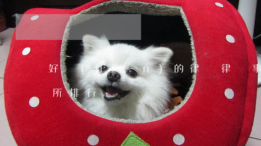 好點(diǎn)的律師(律師事務(wù)所排行)