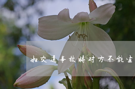 如交通事故将对方不能生理怎么赔偿