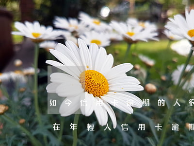 如今信用卡逾期的人很多嗎(現(xiàn)在年輕人信用卡逾期多嗎)