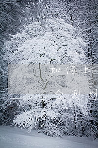 如何上诉保险公司合同纠纷(保险纠纷和保险合同纠纷一样吗)