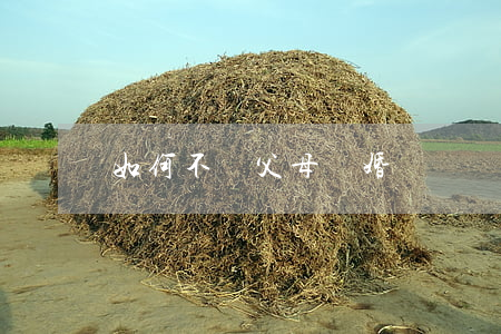 如何不讓父母離婚