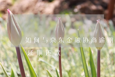 如何与京东金融协商逾期 京东金融怎么协商延期还款