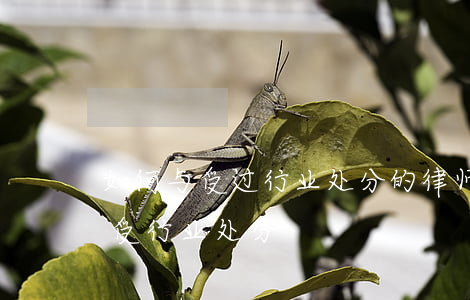 如何与受过行业处分的律师谈话，律师被拘留受行业处分