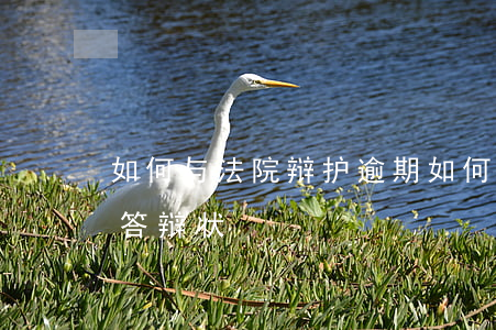 如何与法院辩护逾期(如何应对被告逾期提交答辩状)