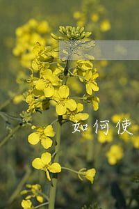 如何使企業(yè)的資金成本最低