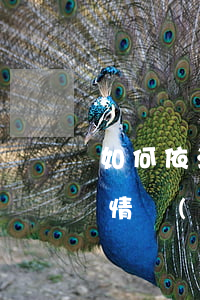 如何依法保護(hù)消費(fèi)者知情權(quán)