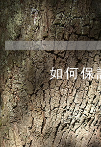 如何保證電子商務(wù)安全